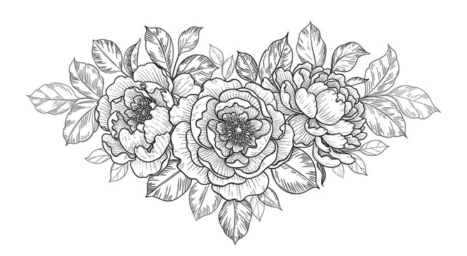 Hand Drawn Floral Bunch with Peony Flowers  and Leaves