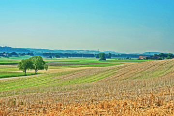 Fields Yverdon les Bains Jura Nord Vaudois Vaud Switzerland