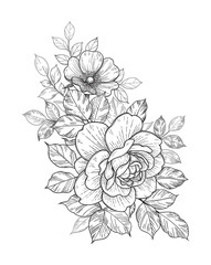 Hand Drawn Floral Bunch with Roses and Leaves - 345075534