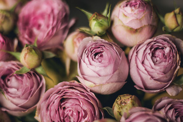 Fototapeta na wymiar roses on a wooden background