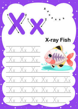 Colorful letter X Uppercase and Lowercase alphabet A-Z, Tracing and writing daily printable A4 practice worksheet with cute cartoon animals - vector illustration exercise for kids