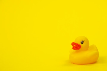 Yellow Rubber duck on yellow background minimal creative concept copy space. Minimal style trendy colorful paper backdrop concept of loneliness. Baby bath toys