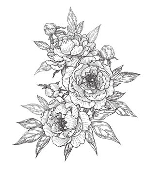 Hand Drawn Floral Bunch with Peony Flowers, Buds  and Leaves