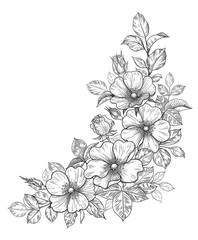 Hand Drawn Dog-Rose Bunch with Flowers and Leaves