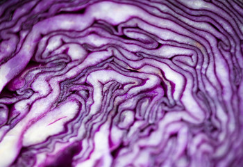 Cut red cabbage head.