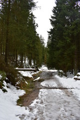 Harz Gebirge am Oderteich