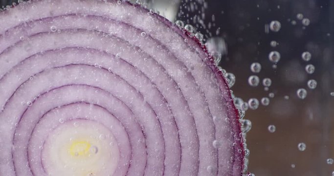 A round piece of onion under water with air bubbles.