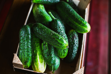Ripe green cucumbers in a box on a wooden background. Harvest
