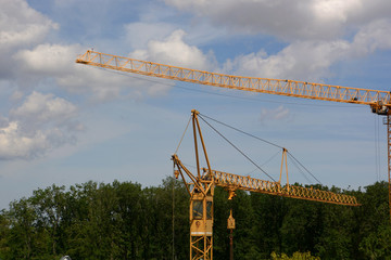 yellow construction tower cranes at a new construction site before deforestation of the forest