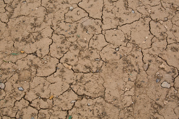 Dehydrate cracked soil