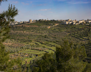 Fototapeta na wymiar Mountain Agriculture in Israel