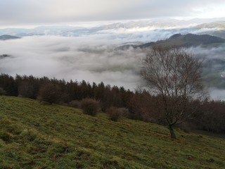 morning in the mountains