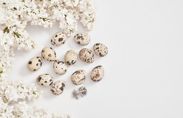 Easter greeting card.Hello spring. Spring season, copy space.Quail eggs and branches of white lilac on white background.