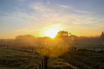 Misty Landscape in a sunrise with some clouds