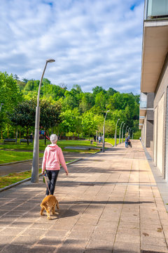 First Walks Of Coronavirus Deconfusion In A Park, A Woman Walking The Dog