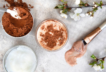 Natural Homemade Face Mask yogurt, cocoa. Beauty Concept