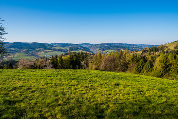 field in the mountains with flowering trees and forests around on a sunny spring day, czech