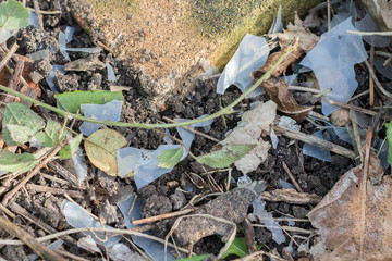 Plastic pollution. Secondary microplastics as a brittle plastic bag disintegrates.