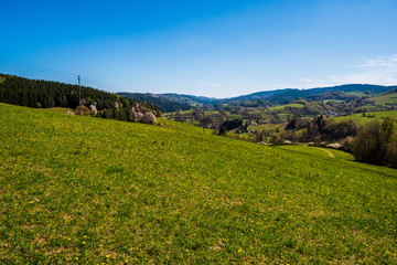 meadow in the mountains with flowering trees and forests around on a sunny spring day