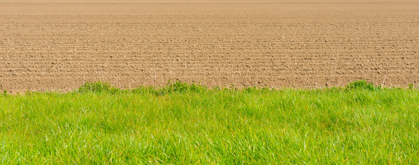 Furrows in a plowed field in sunlight as a bright decorative background in spring