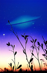 Book cover template. Alien landscape - silhouettes of grass leaves with galaxy and falling star in the sky digital illustration. Elements of this image are furnished by NASA