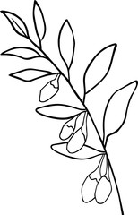 Cute hand drawn goji twig in doodle style isolated on white background. Sketch elements set for graphic and web design.