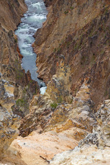 Yellowstone canyon