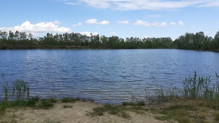 lake and forest