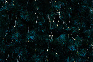 Dark pattern with green branches with pine needles illuminated