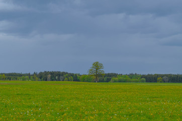 Landschaft