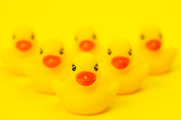 six rubber ducklings side by side in V-shape formation on yellow background. leadership concept, unity concept. Baby bath toys