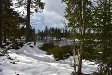 Harz Gebirge am Oderteich