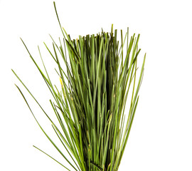 bunch of green lawn grass on a white background