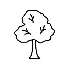 Tree icon vector illustration photo