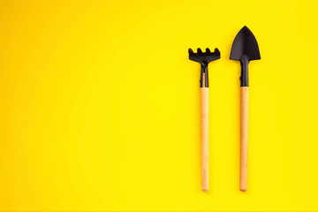 Spatula and rakes for transplantation of agriculture plant seeding. Copy space, seedling,...
