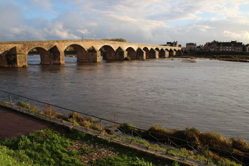 Fototapeta na wymiar bridge and river loire in gien (france)