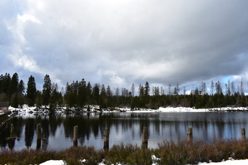 Obraz premium Harz Gebirge am Oderteich