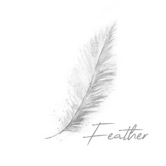 Aquarelle painting of feather sketch art pattern illustration