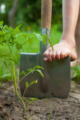 Child's bare foot on the metal spade