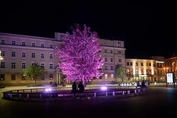 Podświetlane drzewo na Placu Litewskim w Lublinie - obrazy, fototapety, plakaty