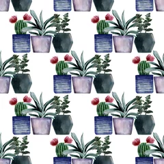 Aquarel naadloze patronen met verschillende soorten cactussen in veelkleurige potten © Ellivelli
