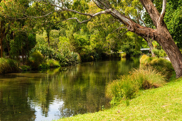 The Avon River running through Hagley Park in Christchurch in New Zealand. 
