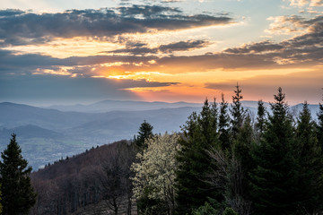 Obraz premium sunrise in the mountains with forest in the foreground with beautiful sky, czech republic beskydy Javorovy vrch