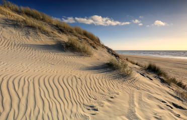 Fototapeta na wymiar textured sand dune and blue sky by sea