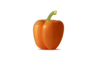 realistic pepper chili isolated on a white background, vector illustration