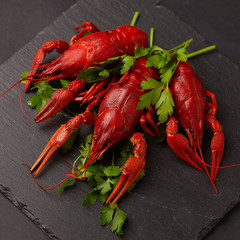 ready crayfish. Lying on a platter with vegetables