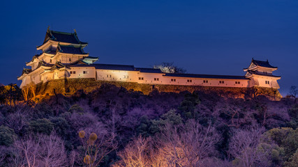 Fototapeta na wymiar Evening view of historic Wakayama castle in Wakayama city, Japan