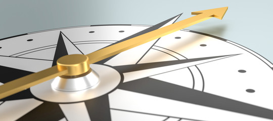 Compass with a golden compass needle - 3d rendering © Zerbor