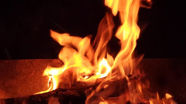 Shooting fire in nature at night. Live shooting of a beautiful flame.