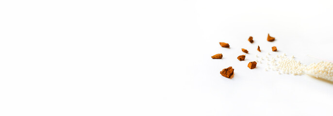 the chaga mushroom. composition of pieces of birch fungus chaga and homeopathic medicine pills in jar on a white background. the concept of alternative medicine. banner